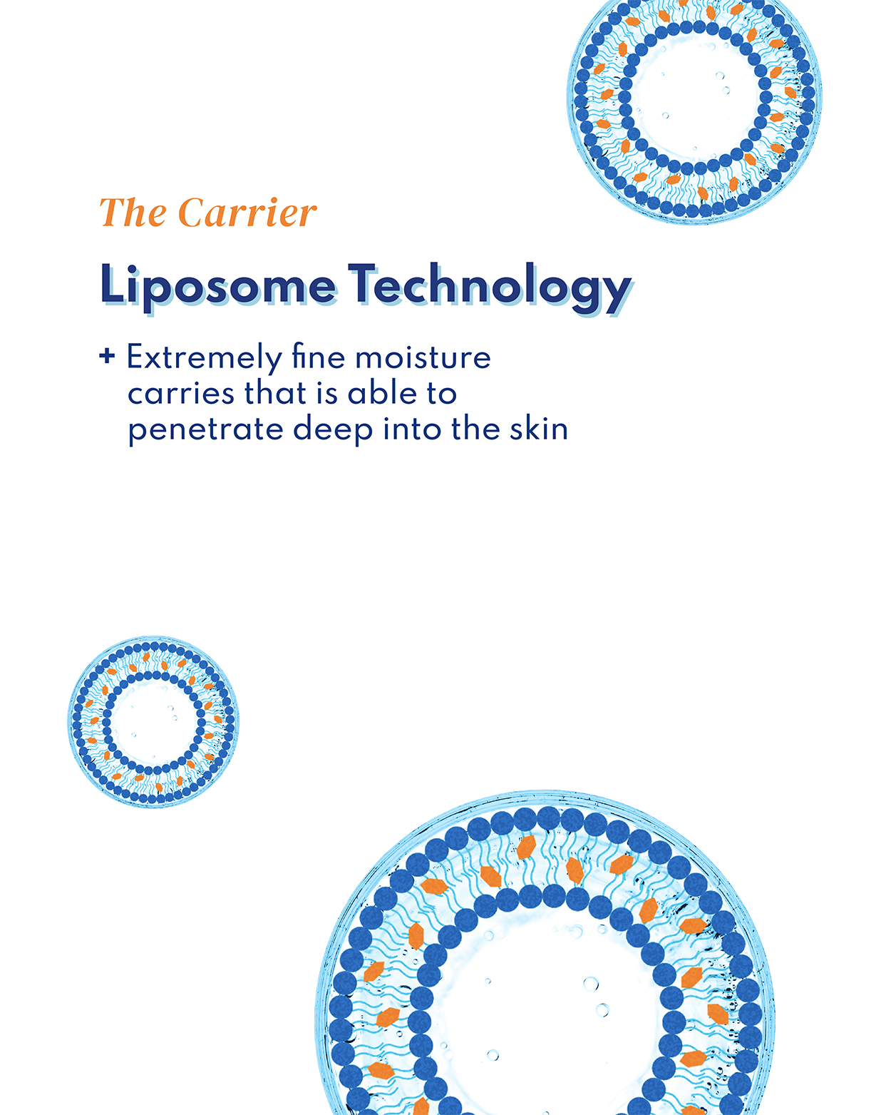 Liposome Treatment Concentrate - skinbooster™ - Image 4